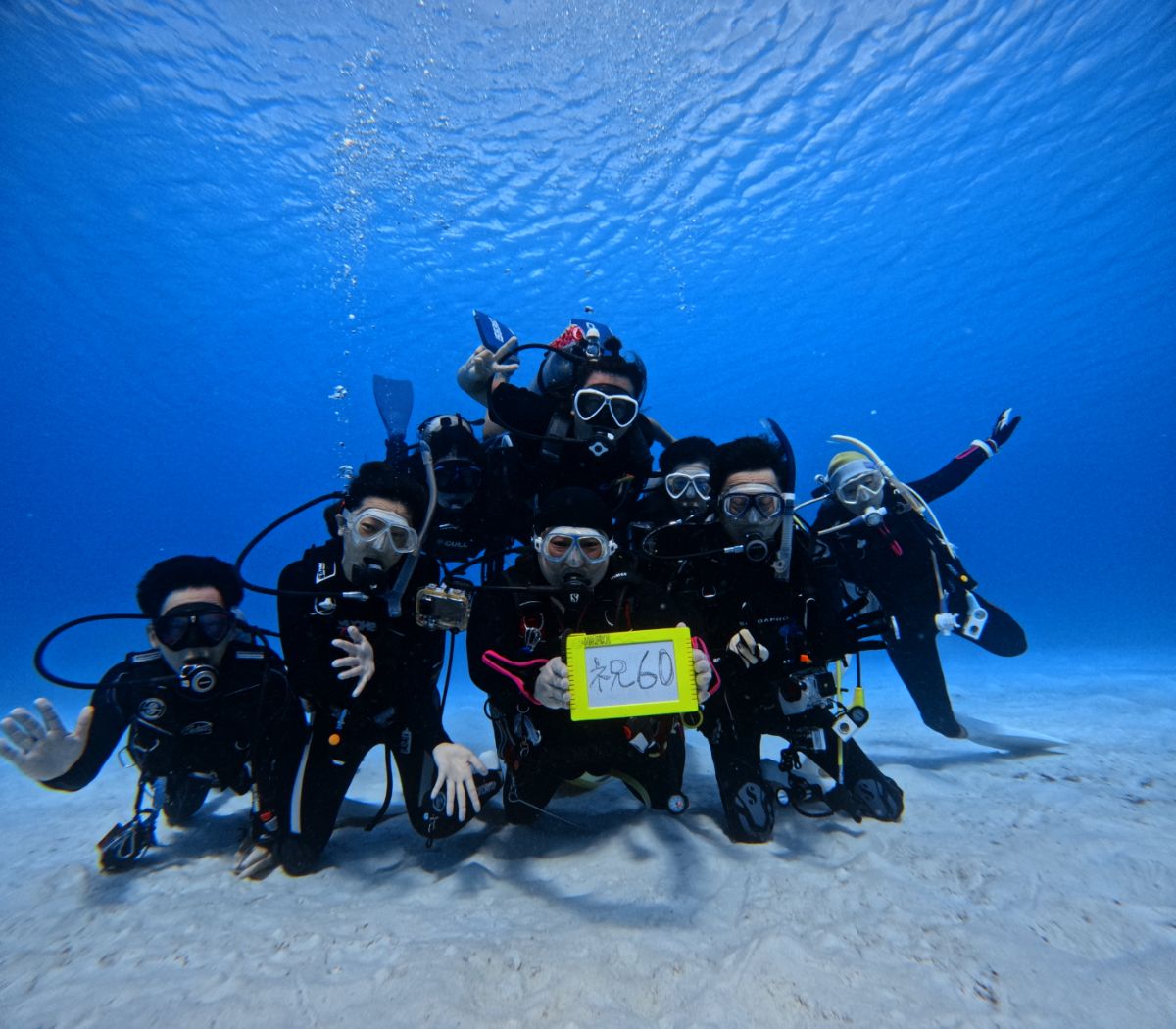 夏休み！渡嘉敷島ダイビングツアーのイメージ